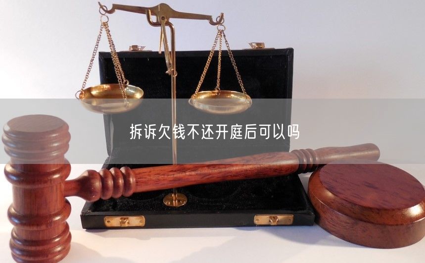 拆诉欠钱不还开庭后可以吗