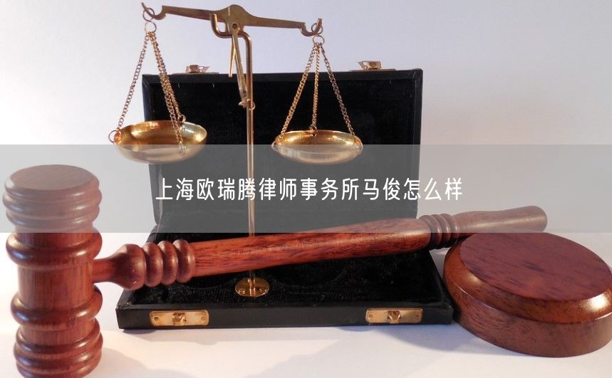 上海欧瑞腾律师事务所马俊怎么样