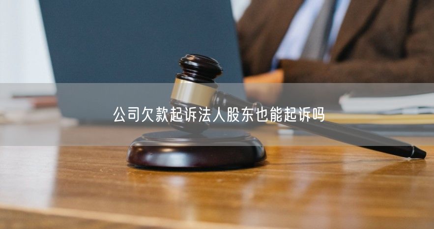 公司欠款起诉法人股东也能起诉吗