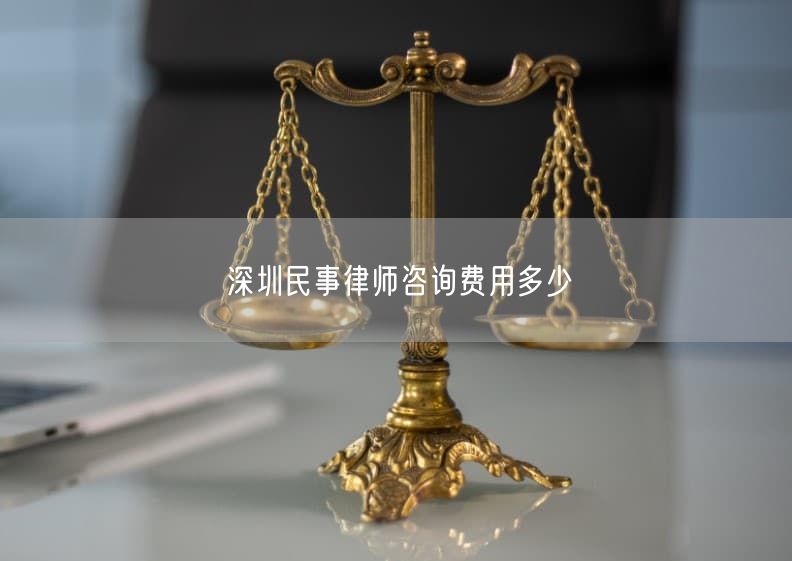 深圳民事律师咨询费用多少