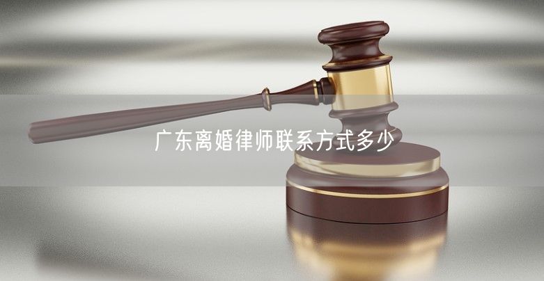 广东离婚律师联系方式多少