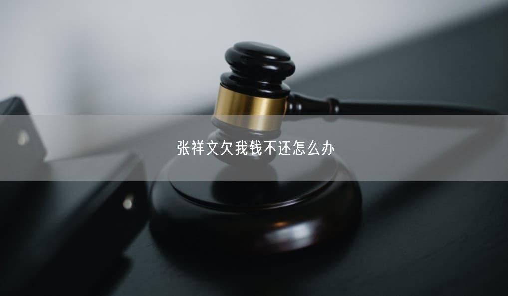 张祥文欠我钱不还怎么办