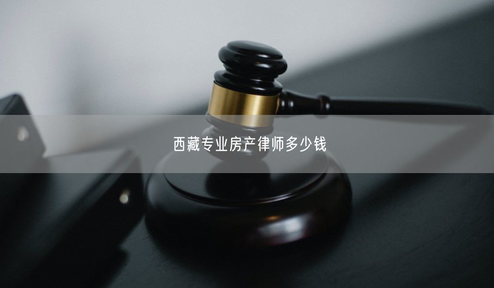 西藏专业房产律师多少钱