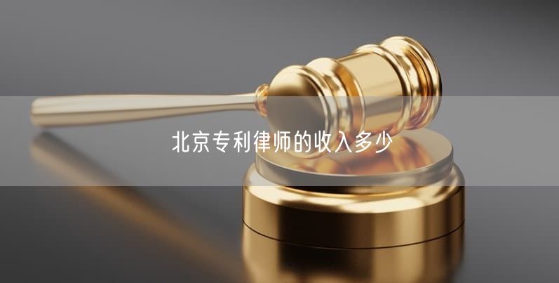 北京专利律师的收入多少